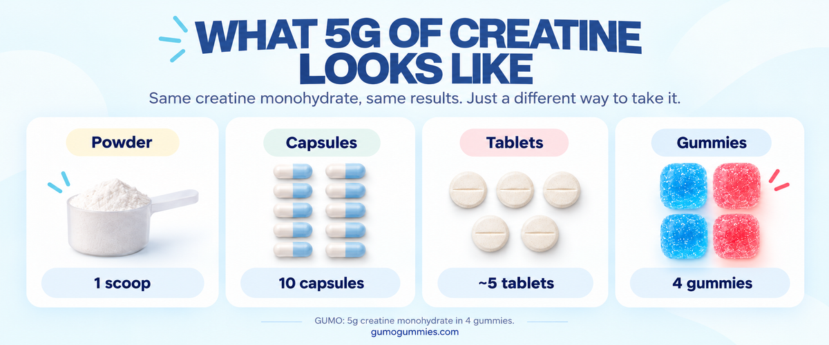 Creatine powder, capsules, tablets and gummies compared side by side